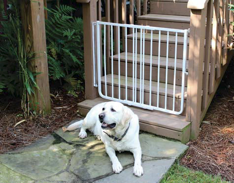 Outdoor Dog Safety Gate (Aluminum) - Black
