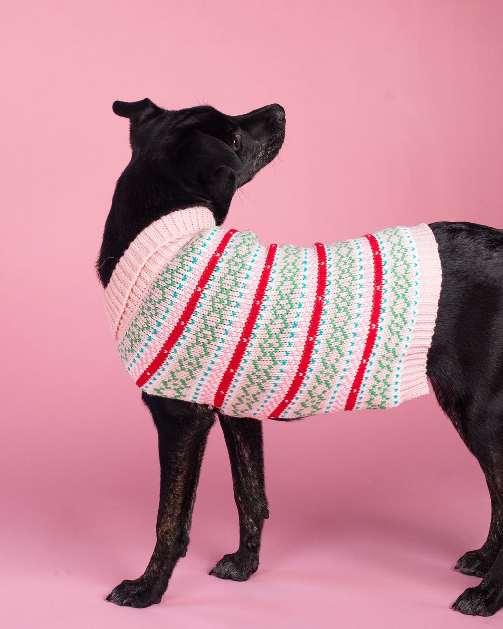 Up Country Pink Faire Isle Dog Sweater