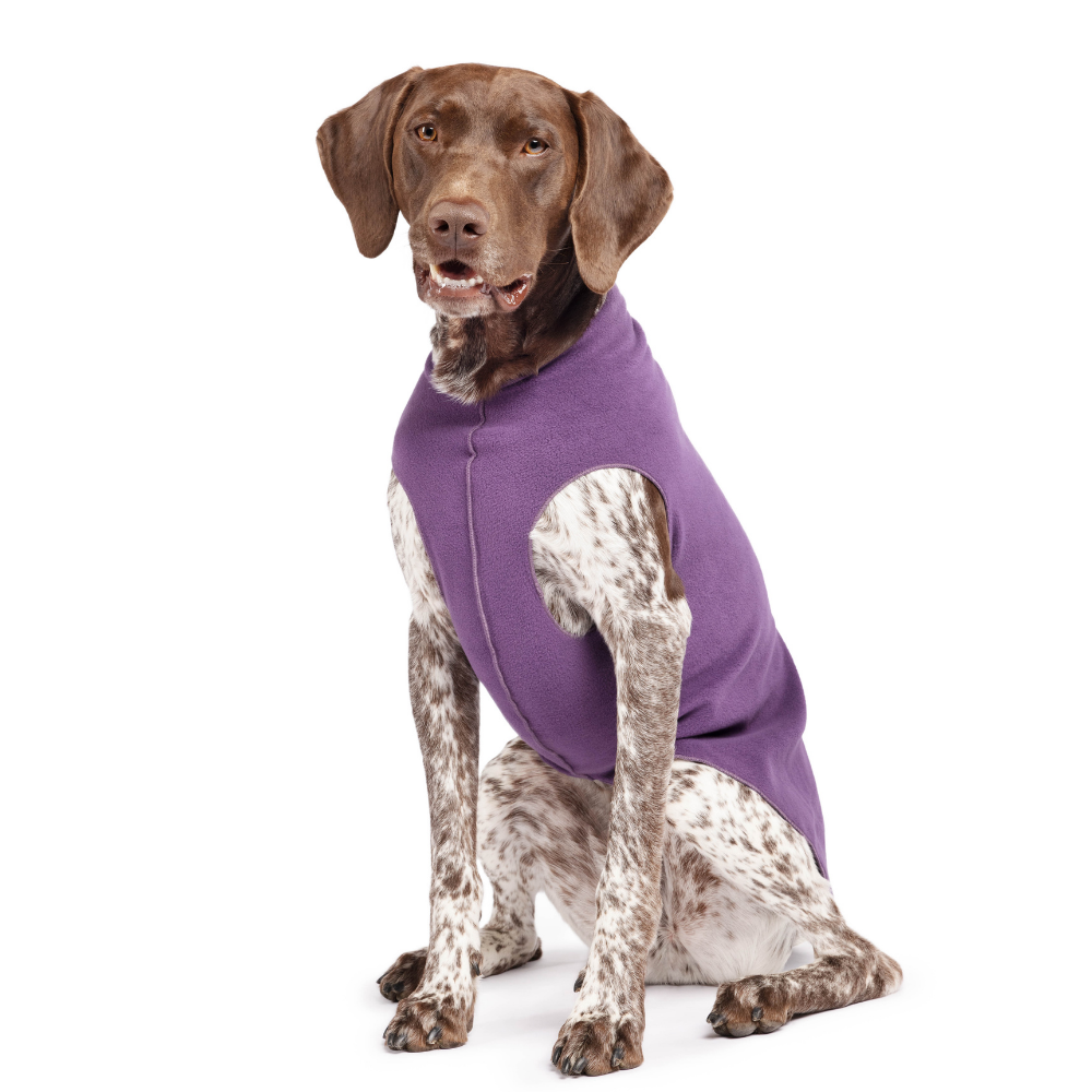 Gold Paw Stretch Fleece Dog Coat - Huckleberry