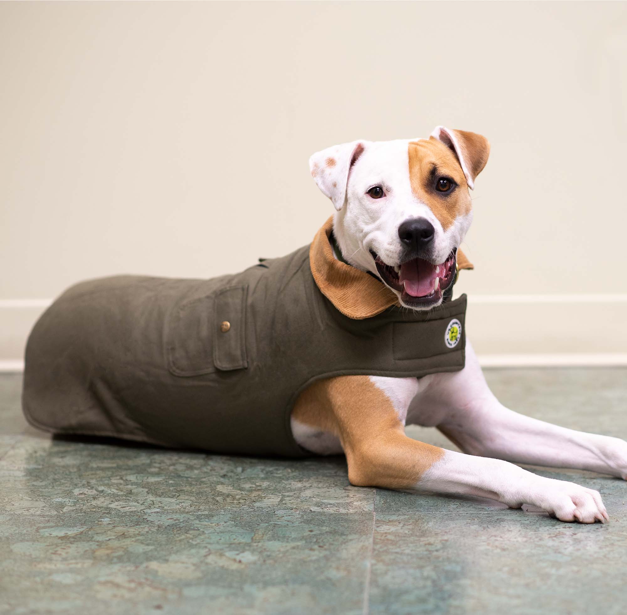Up Country Chester Barn Coat For Dogs