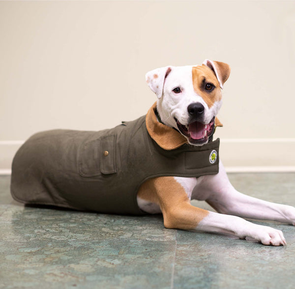 Up Country Chester Barn Coat For Dogs