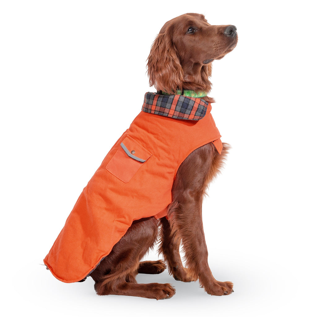 Up Country Orange Field Coat For Dogs