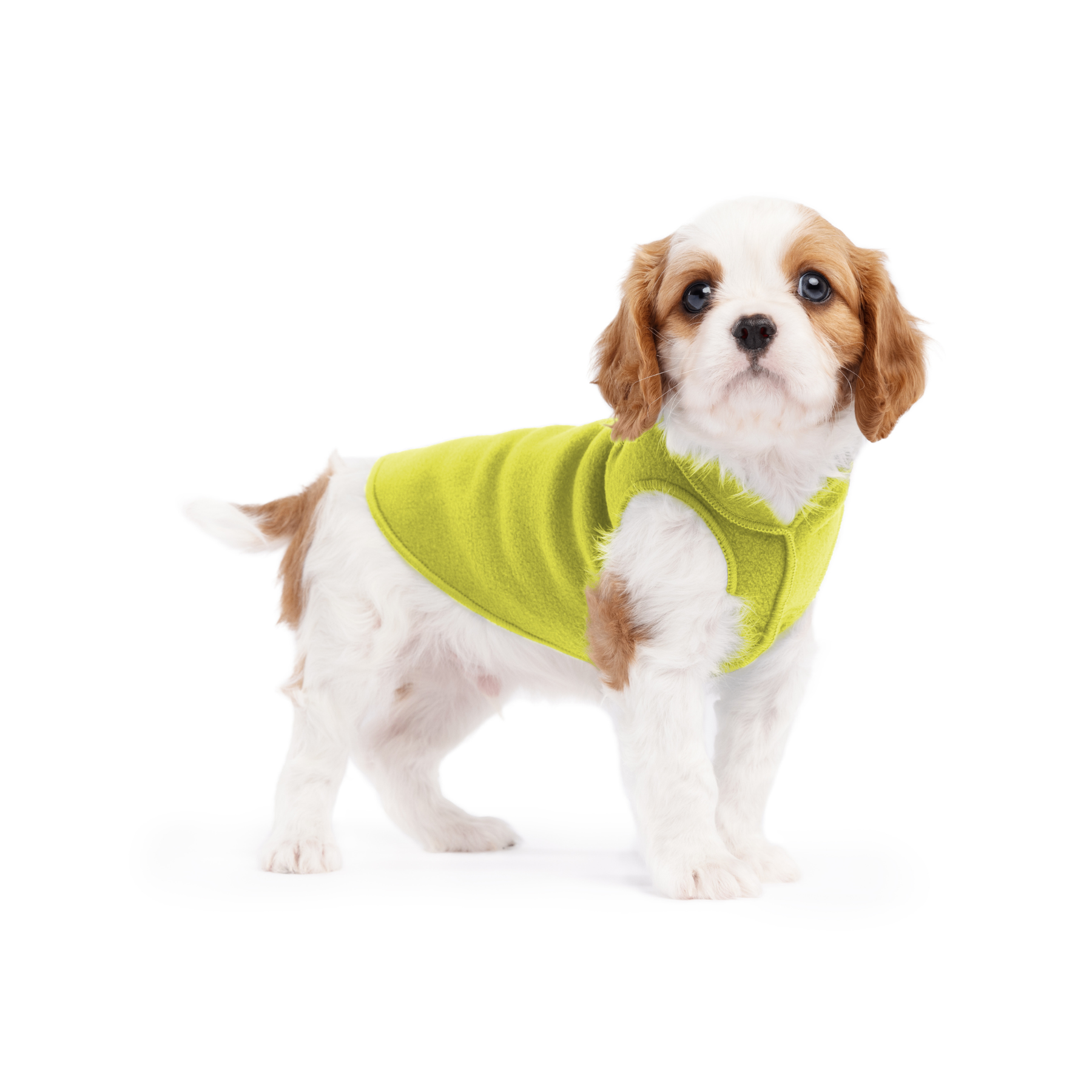 Gold Paw Stretch Fleece Dog Coat - Avocado