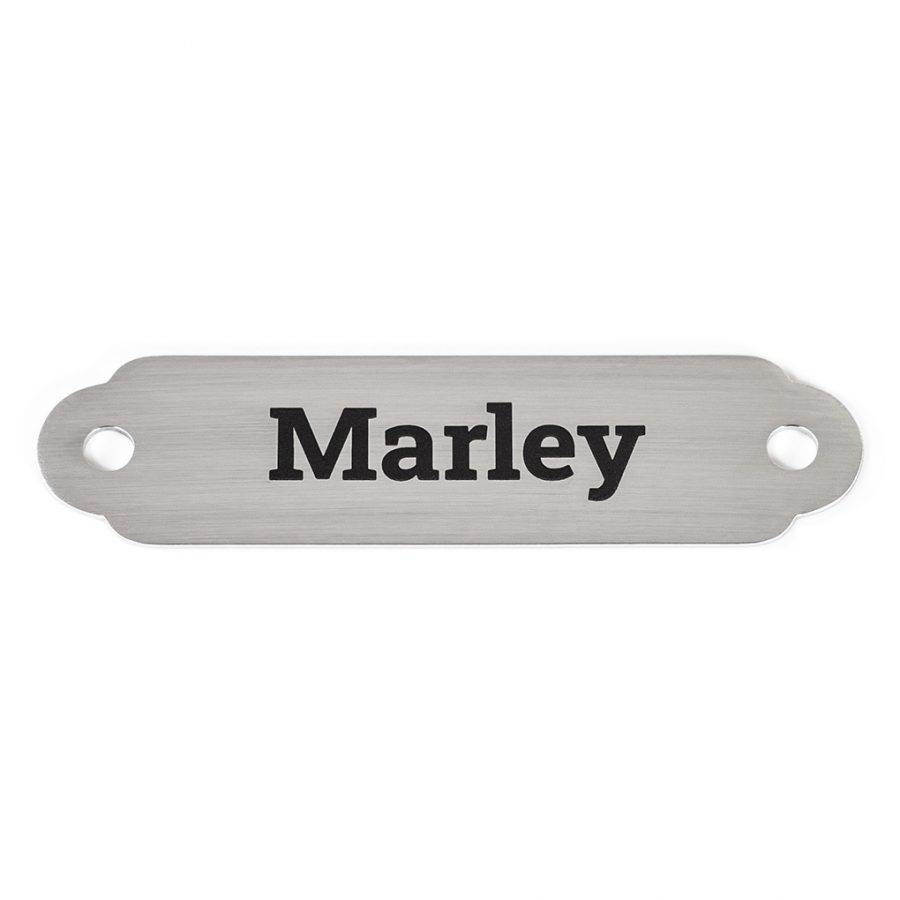 Rita Bean Custom Engraved Nameplate Waterproof Dog Collars