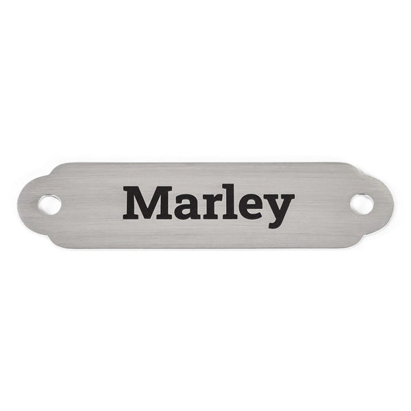 Rita Bean Custom Engraved Waterproof Standard Buckle Dog Collars