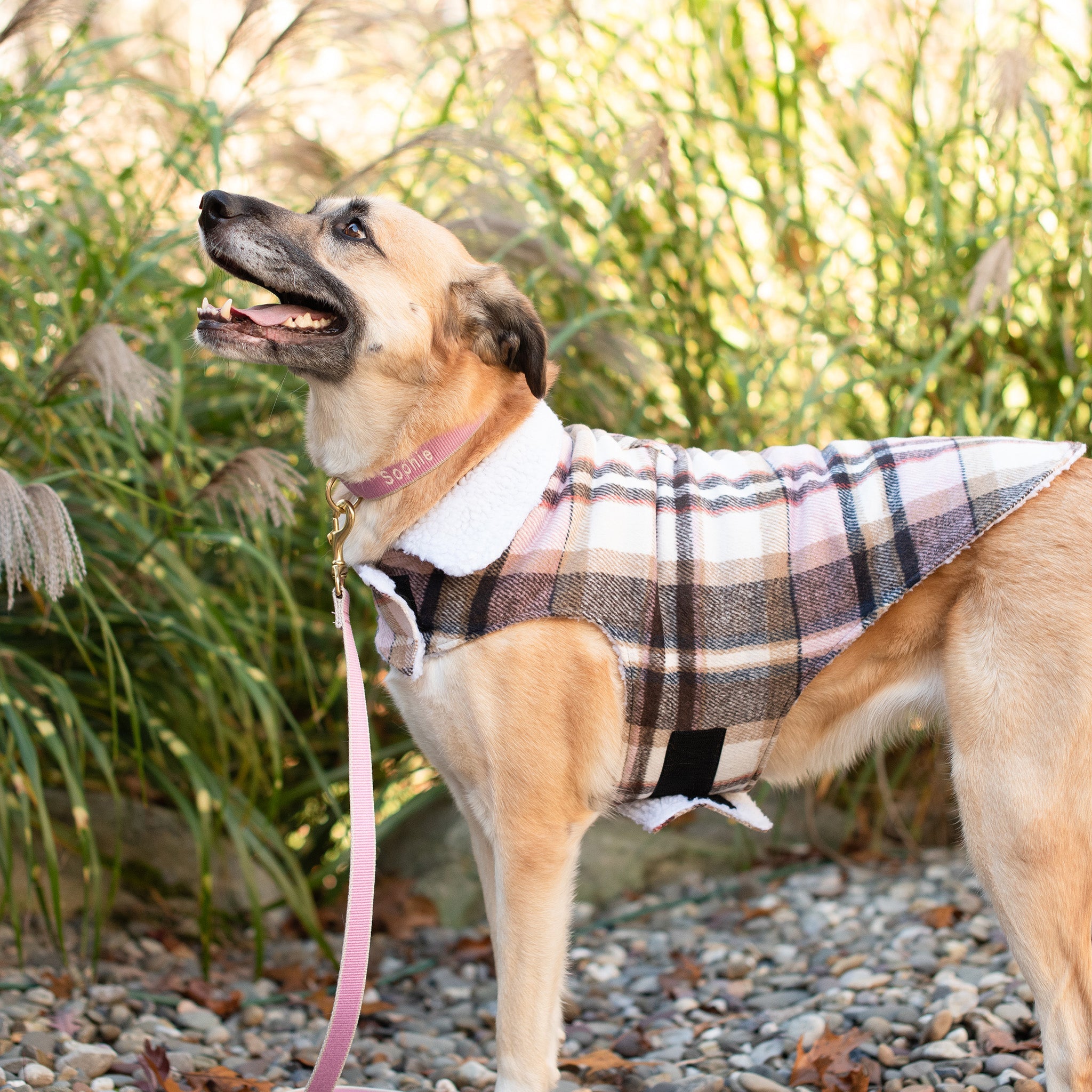 Up Country Shacket Dog Coat