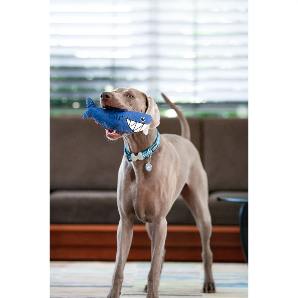 Red Dingo Durables Plush Dog Toy - Shark