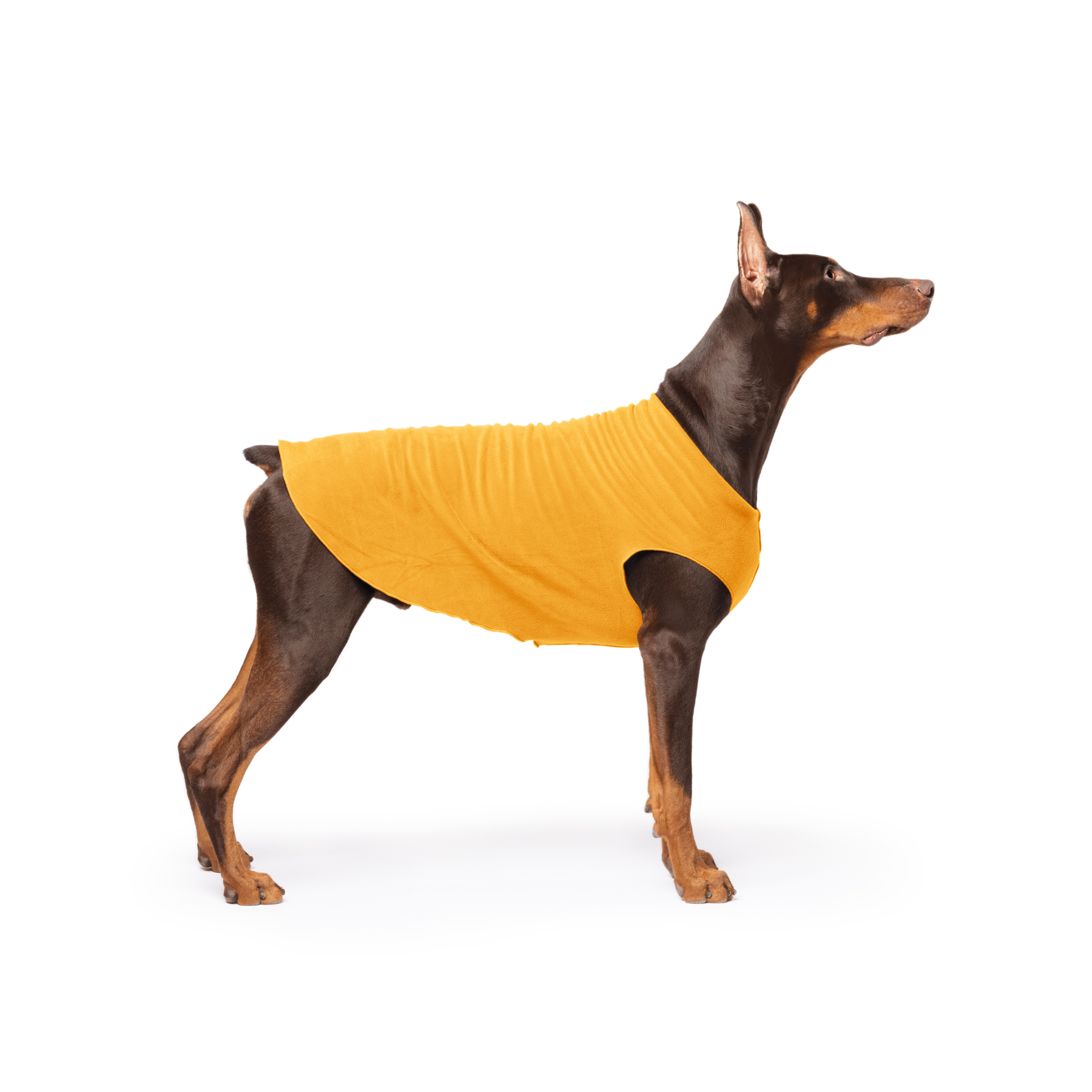 Gold Paw Stretch Fleece Dog Coat - Cheddar