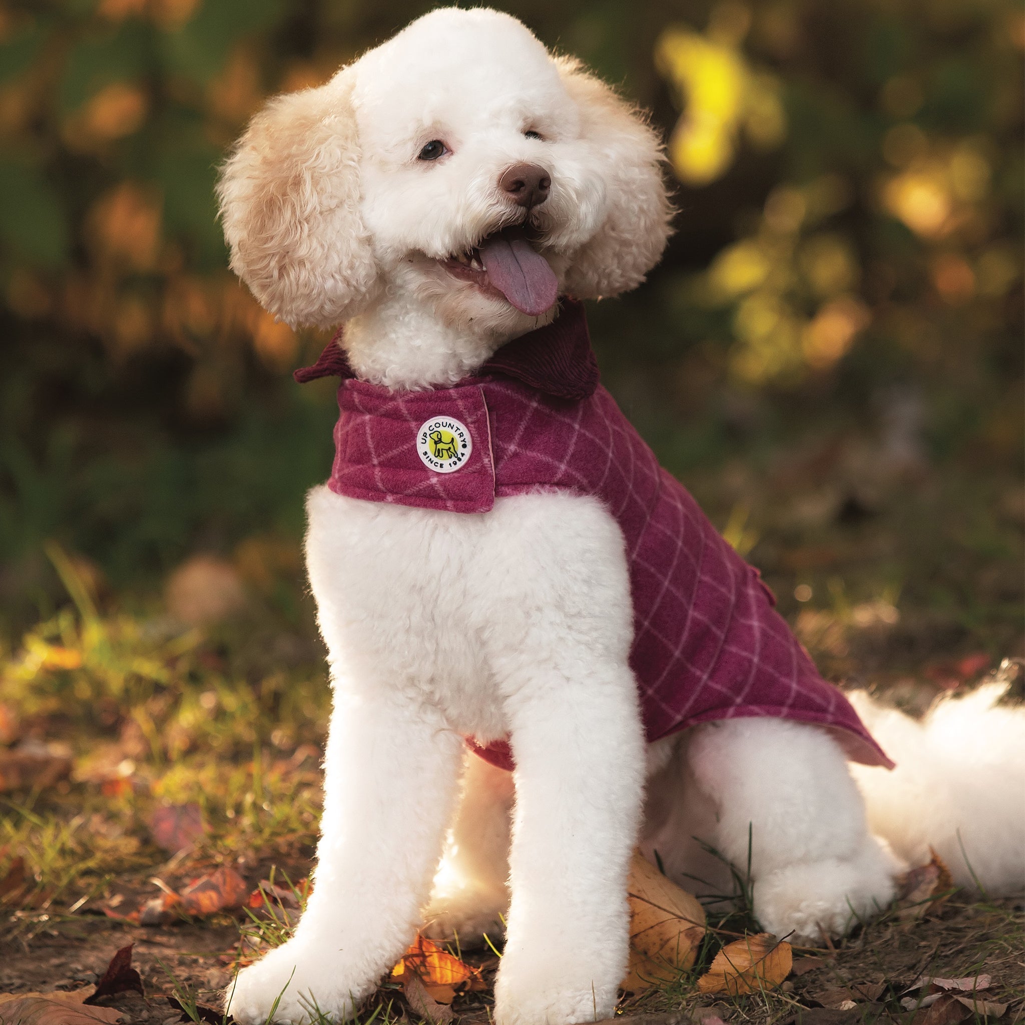 Up Country Tweed Dog Coat - Pink