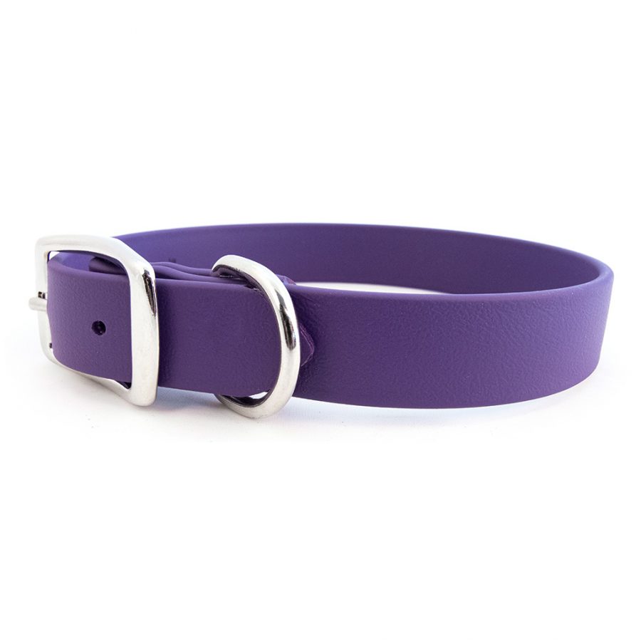 Rita Bean Custom Engraved Nameplate Waterproof Dog Collars