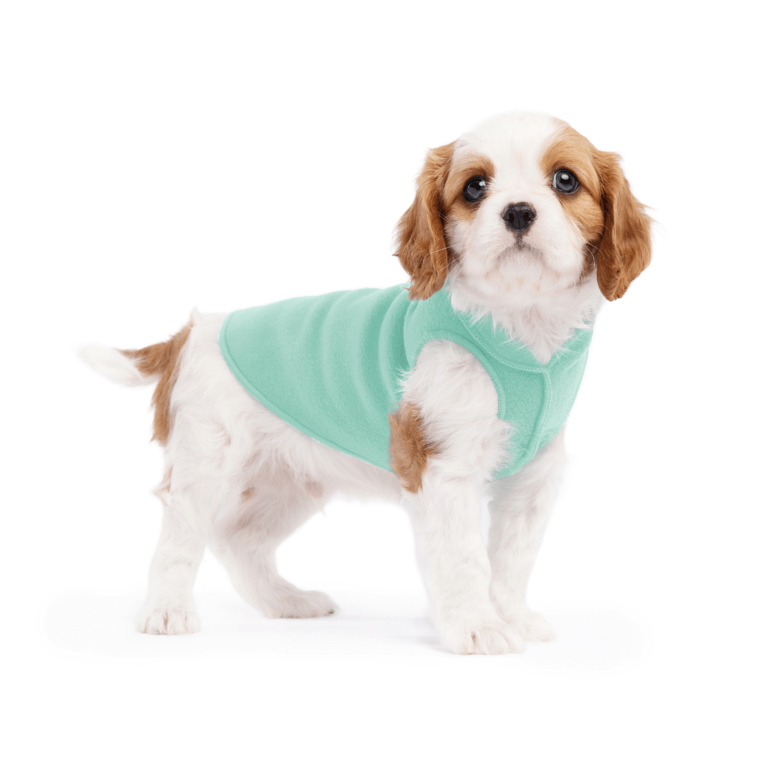 Gold Paw Stretch Fleece Dog Coat - Juniper