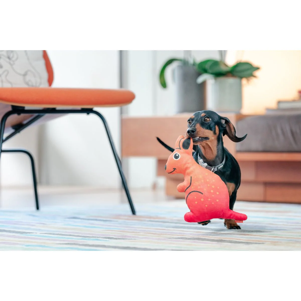 Red Dingo Durables Plush Dog Toy - Kangaroo
