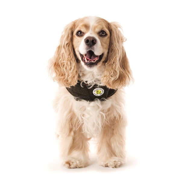 Up Country Chester Barn Coat For Dogs