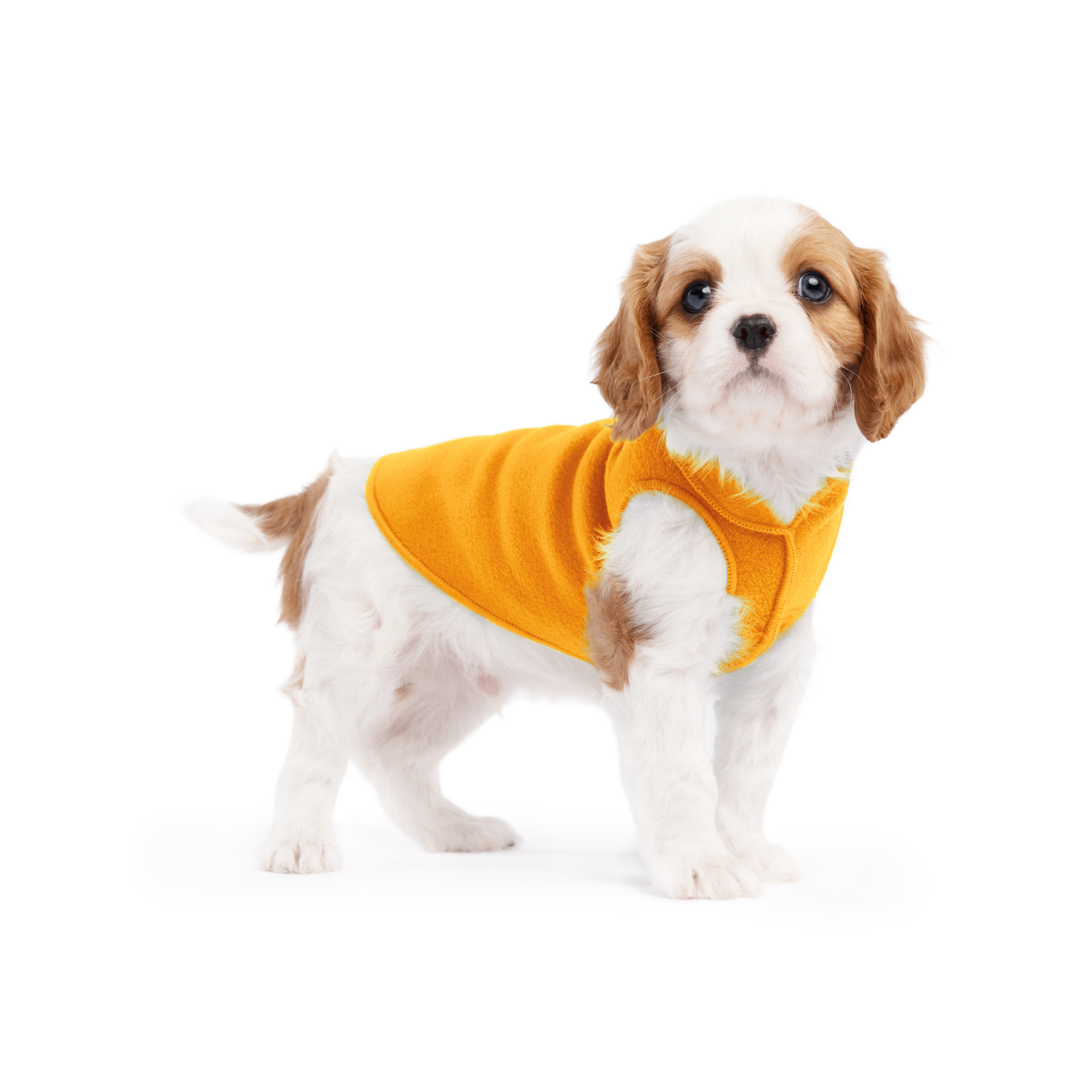 Gold Paw Stretch Fleece Dog Coat - Cheddar