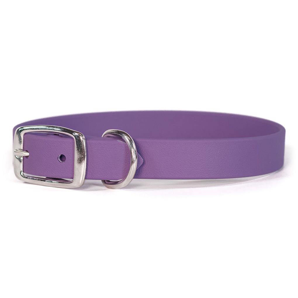 Rita Bean Custom Engraved Nameplate Waterproof Dog Collars