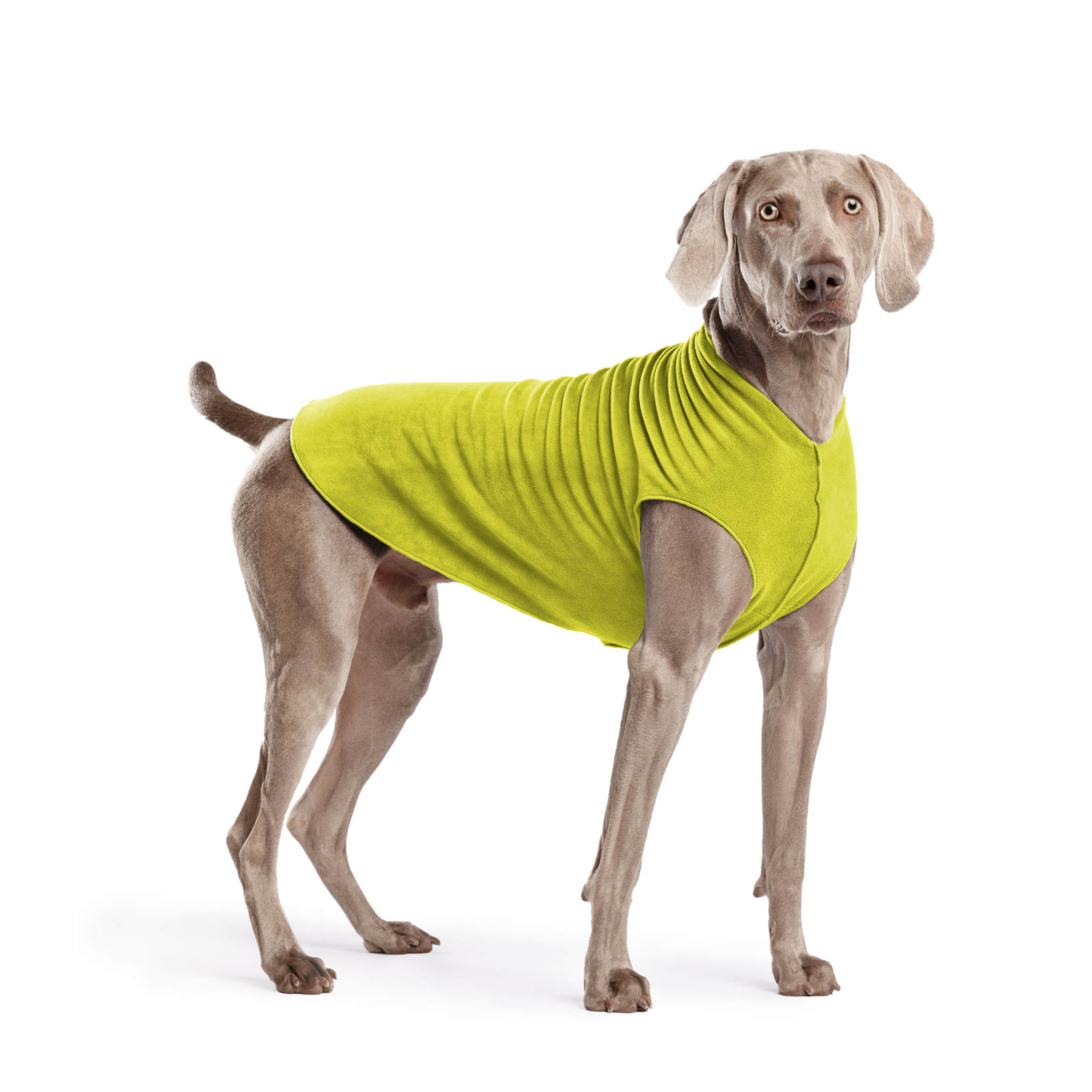 Gold Paw Stretch Fleece Dog Coat - Avocado