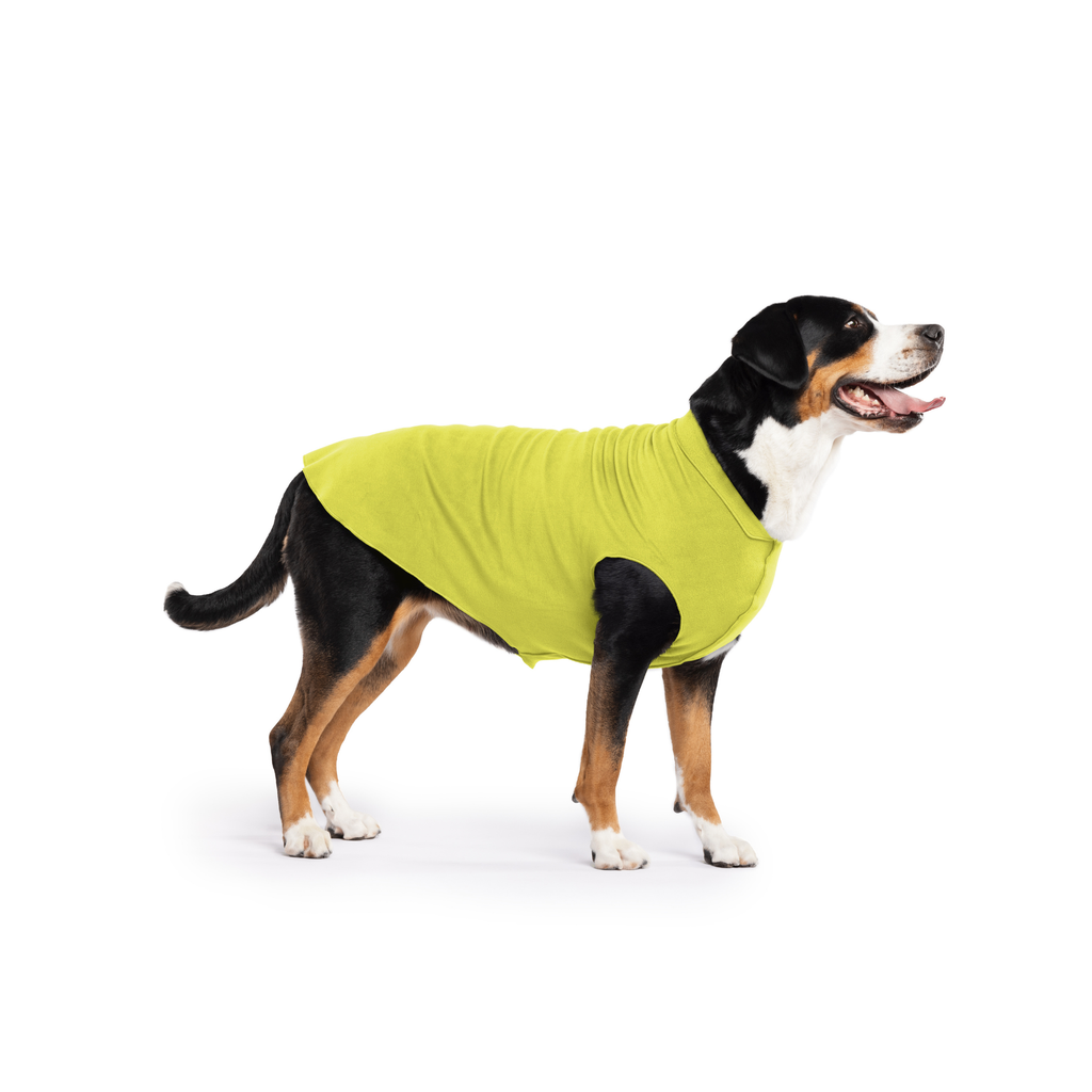 Gold Paw Stretch Fleece Dog Coat - Avocado