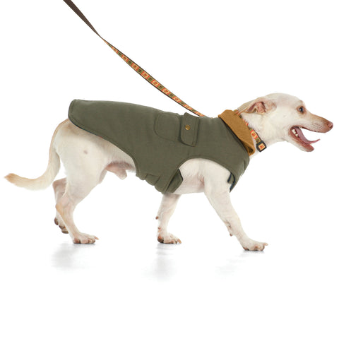 Up Country Chester Barn Coat For Dogs
