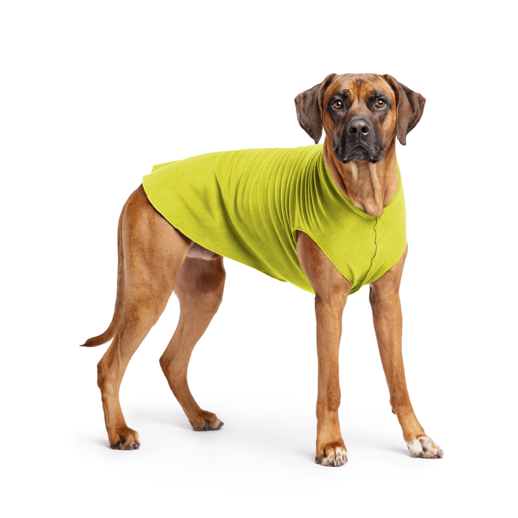 Gold Paw Stretch Fleece Dog Coat - Avocado