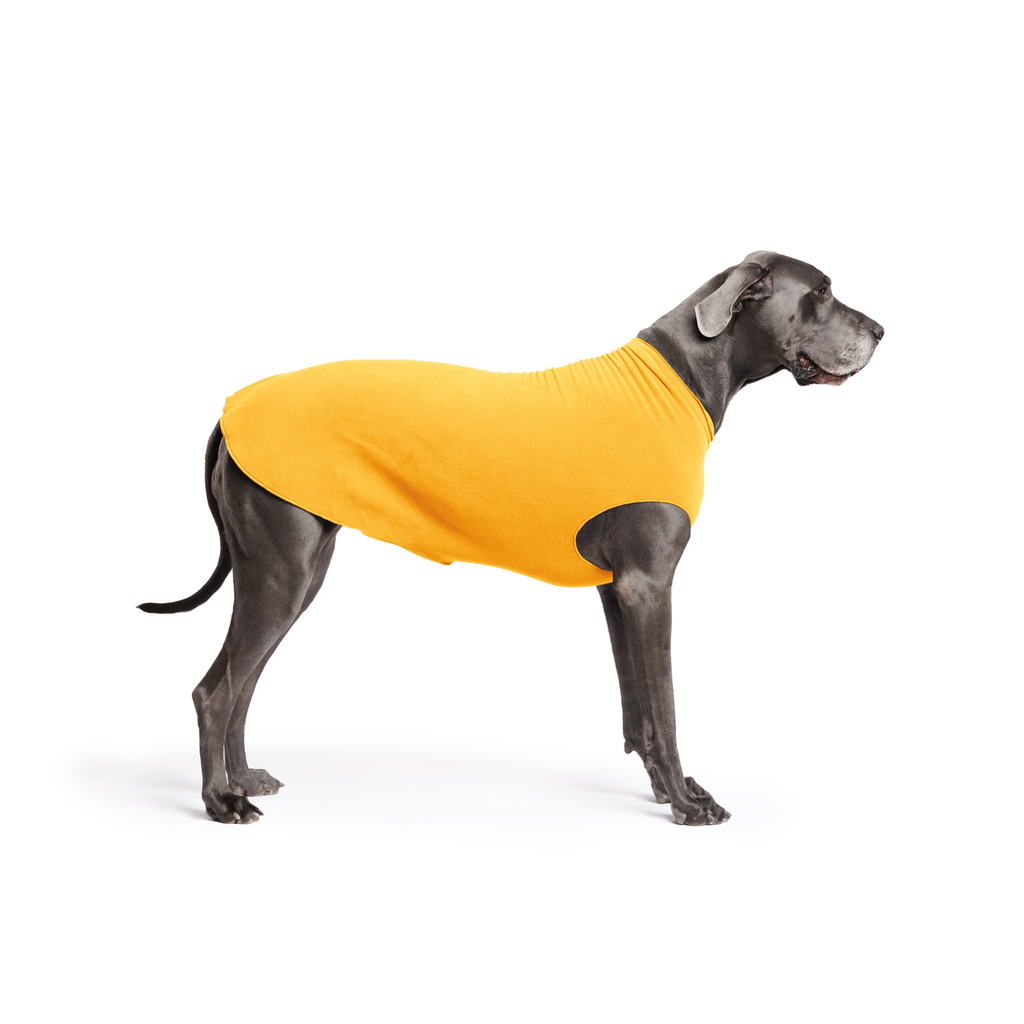 Gold Paw Stretch Fleece Dog Coat - Cheddar