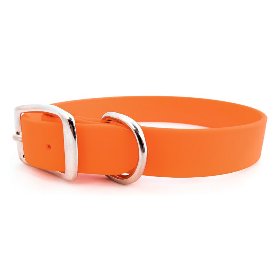 Rita Bean Custom Engraved Nameplate Waterproof Dog Collars