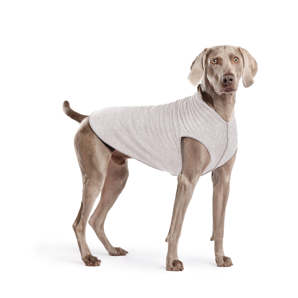 Sun Shield Dog Tee - Pebble Grey