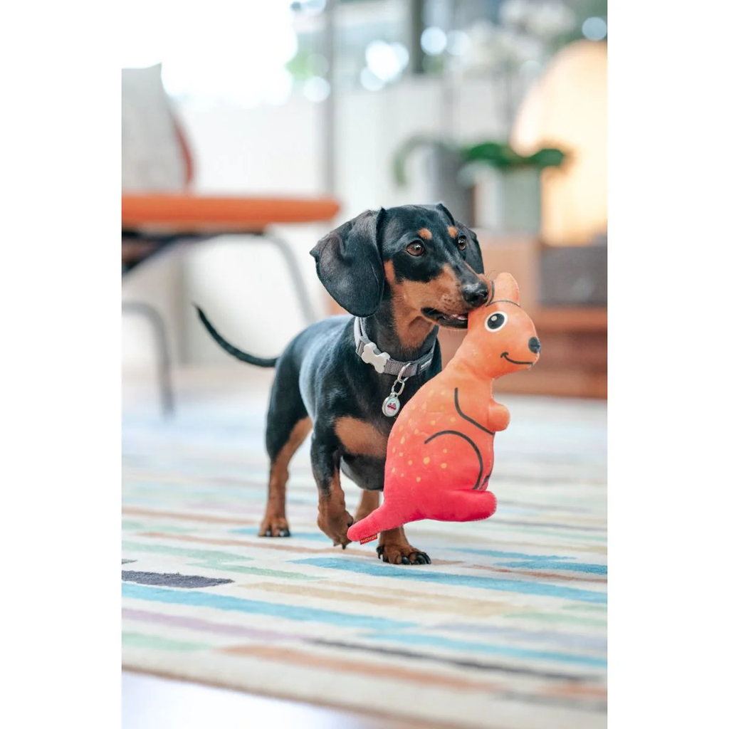 Red Dingo Durables Plush Dog Toy - Kangaroo