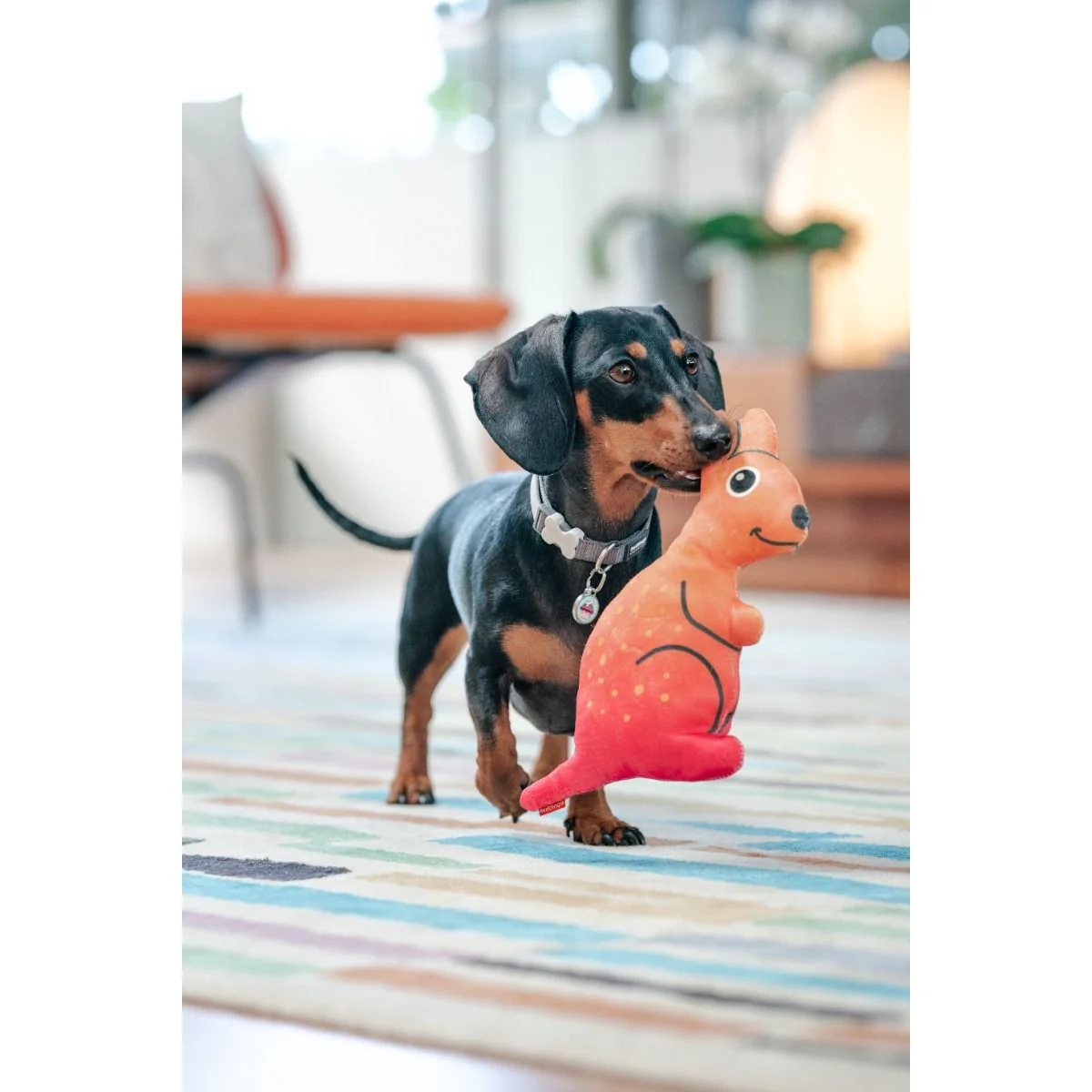 Red Dingo Durables Plush Dog Toy - Kangaroo