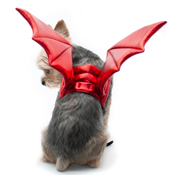 Dragon Wings Dog Halloween Costume - Red