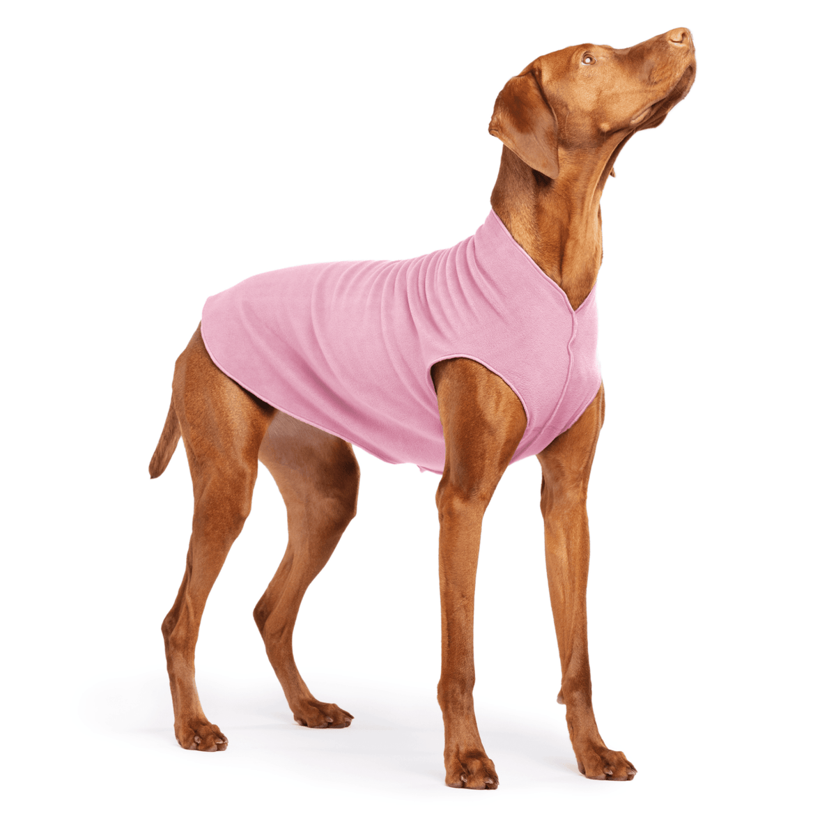Gold Paw Stretch Fleece Dog Coat - Rose