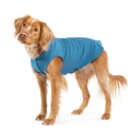 Gold Paw Stretch Fleece Dog Coat - Marine Blue