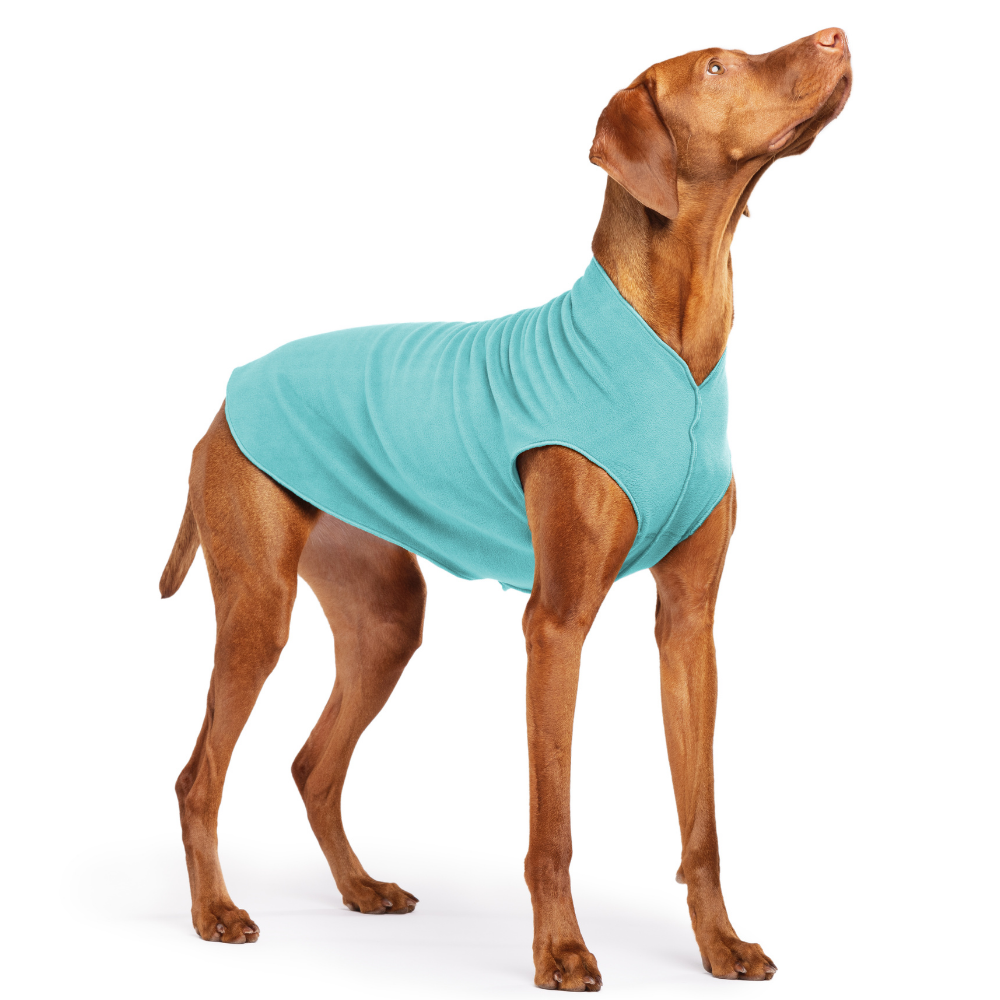 Gold Paw Stretch Fleece Dog Coat - Turquoise