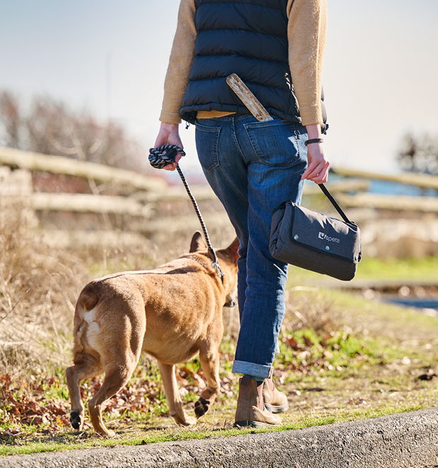 RC Pets Trekker Dog Travel Mat