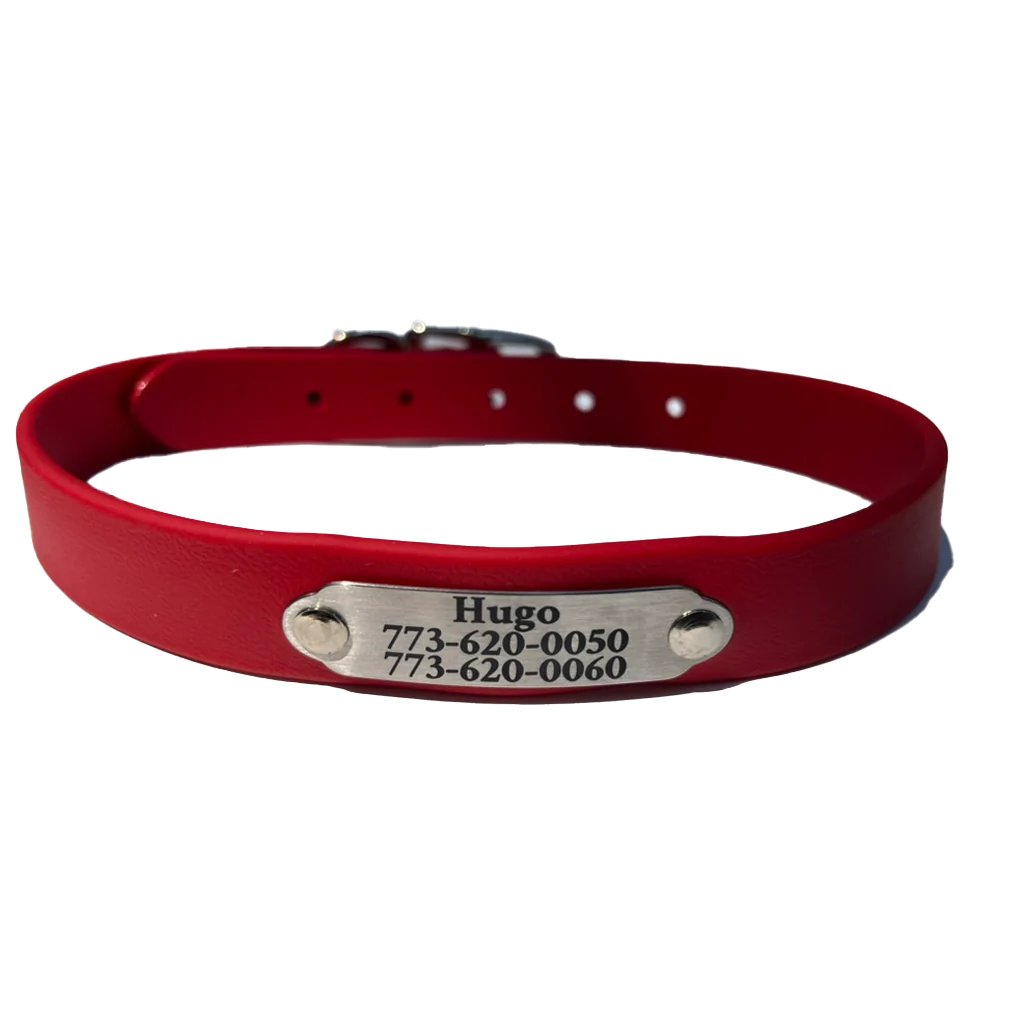Rita Bean Custom Engraved Nameplate Waterproof Dog Collars
