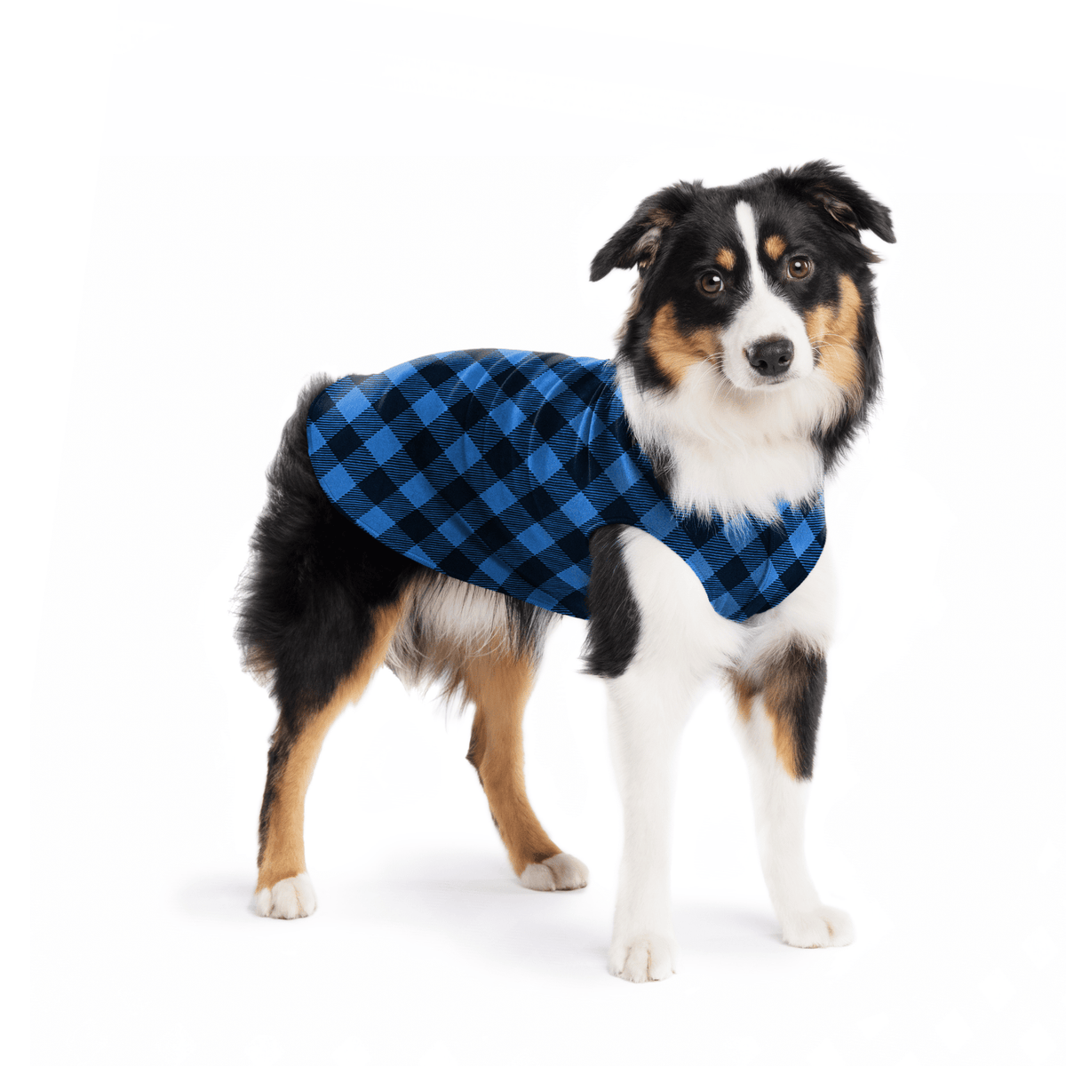 Gold Paw Stretch Fleece Dog Coat - Buffalo Check (Cobalt Blue/Black)