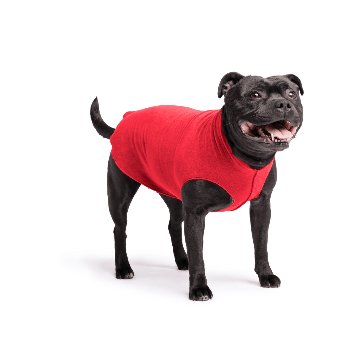 Gold Paw Stretch Fleece Dog Coat - Red