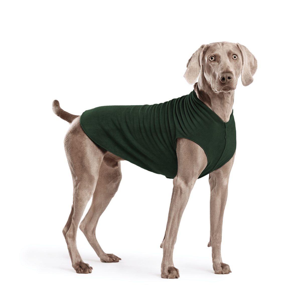 Gold Paw Stretch Fleece Dog Coat - Hunter Green