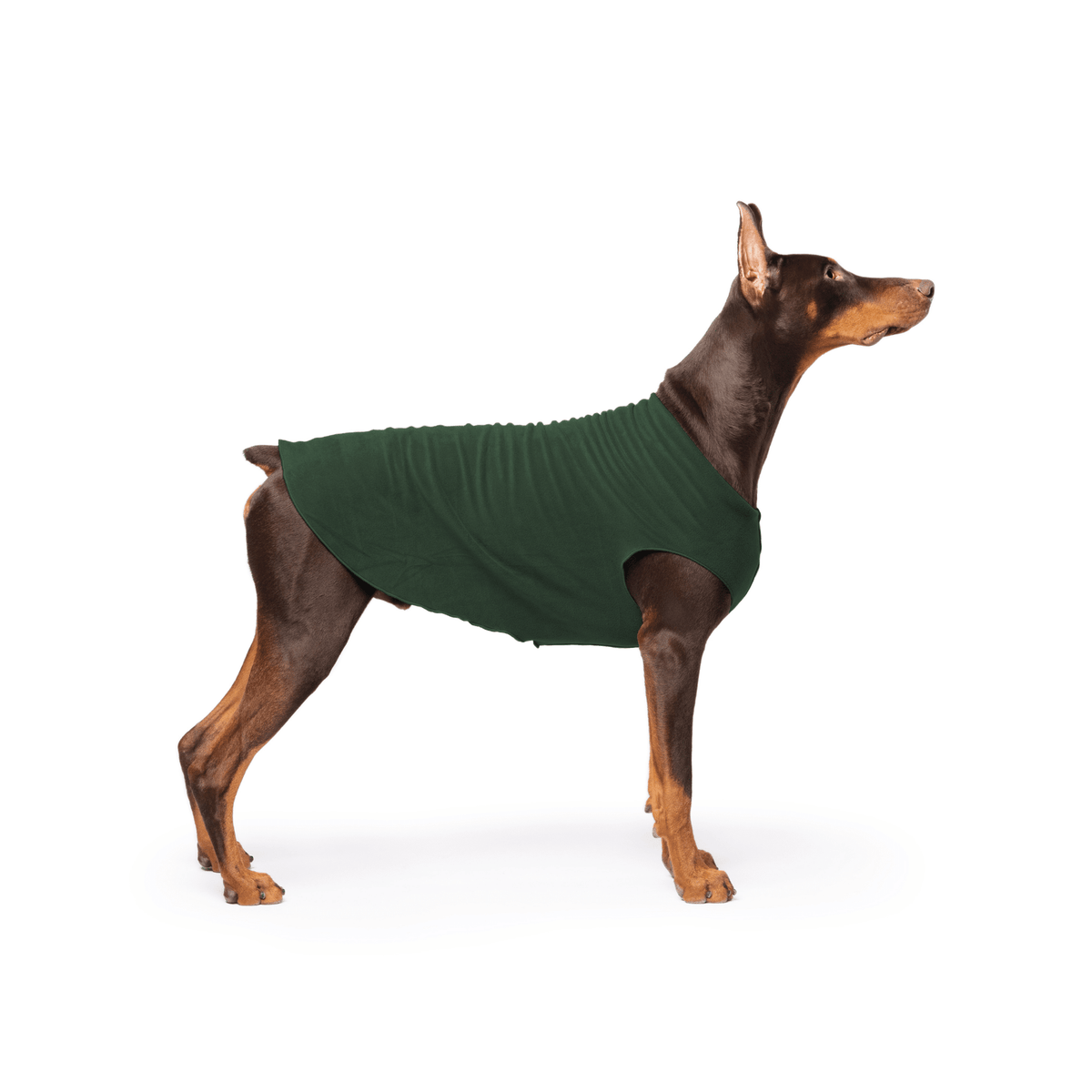 Gold Paw Stretch Fleece Dog Coat - Hunter Green