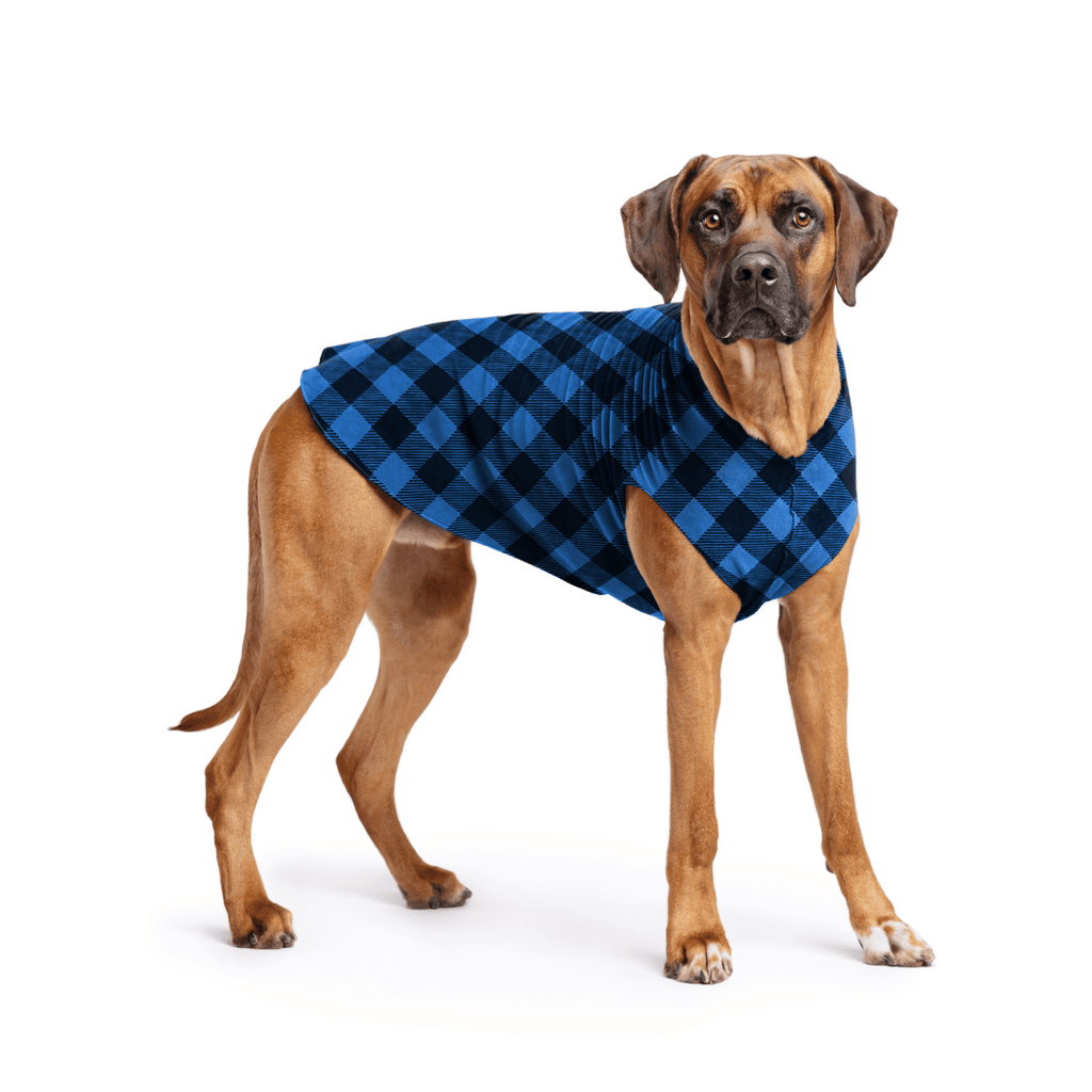 Gold Paw Stretch Fleece Dog Coat - Buffalo Check (Cobalt Blue/Black)