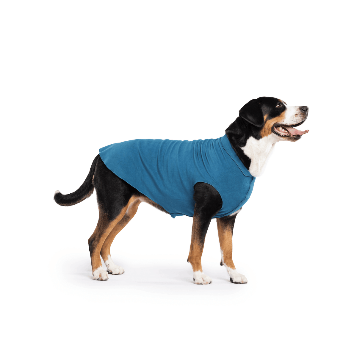 Gold Paw Stretch Fleece Dog Coat - Marine Blue