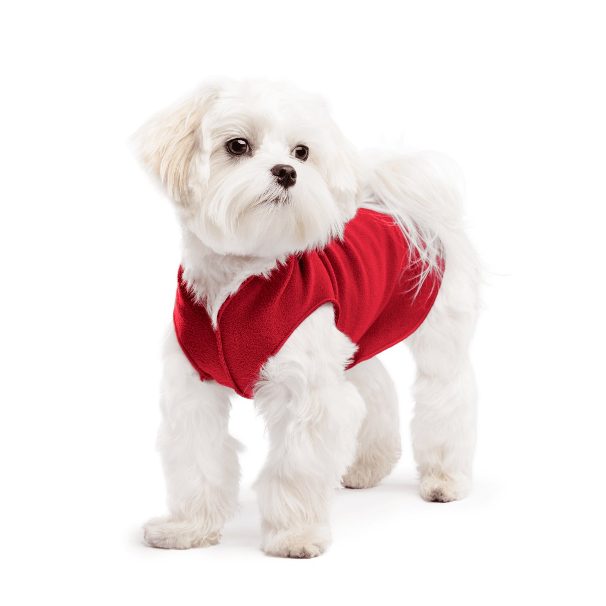 Gold Paw Stretch Fleece Dog Coat - Red