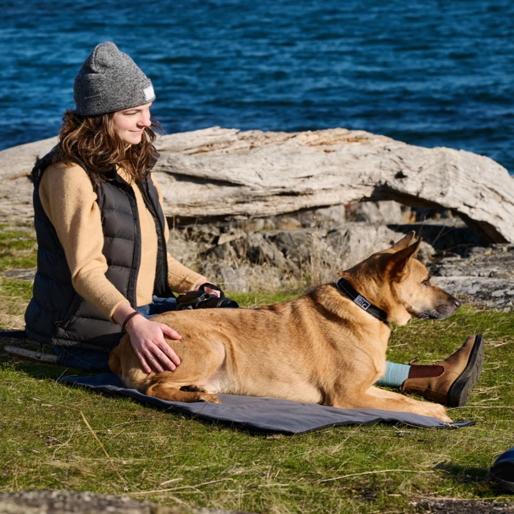 RC Pets Trekker Dog Travel Mat