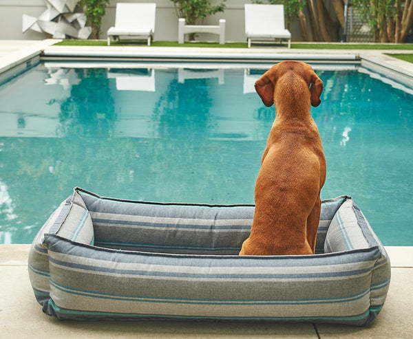 Bowsers Urban Lounger Dog Bed - Poolside