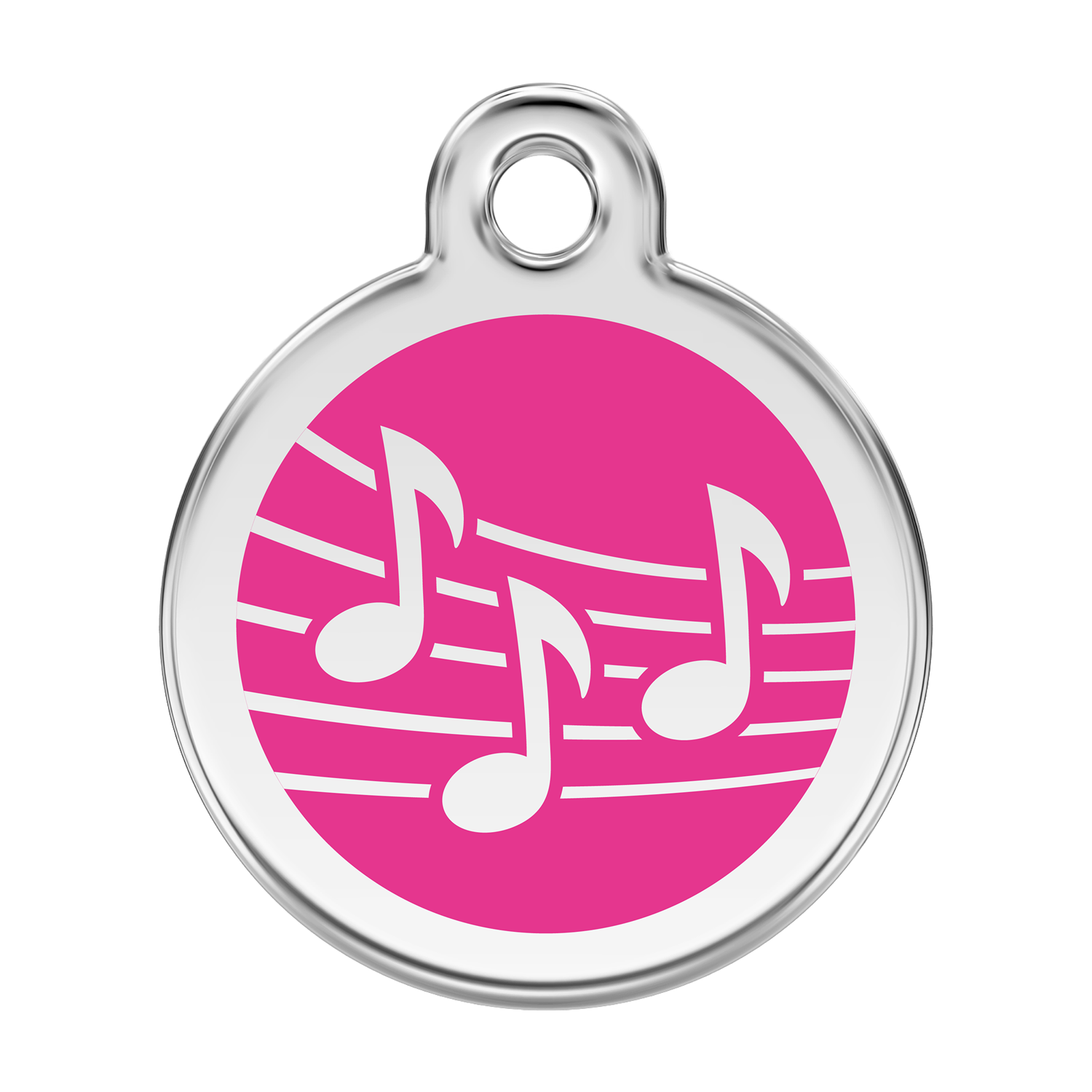 Red Dingo Stainless Steel & Enamel Music Notes Dog ID Tag