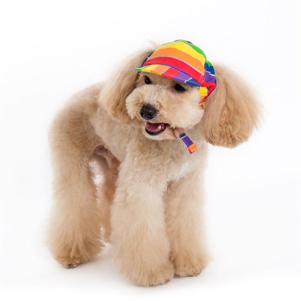 Rainbow Hat for Dogs