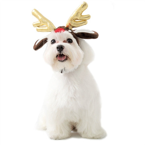 Reindeer Hat For Dogs