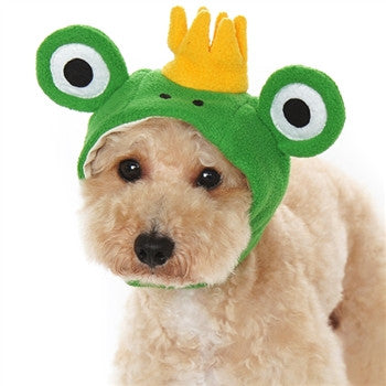 Frog Hat for Dogs