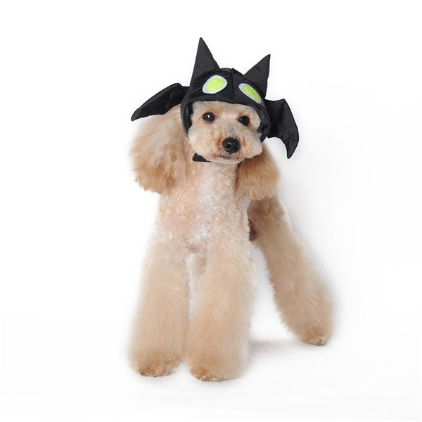 Bat hat for dogs Clearance
