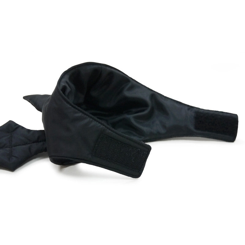 Bat Hat for Dogs