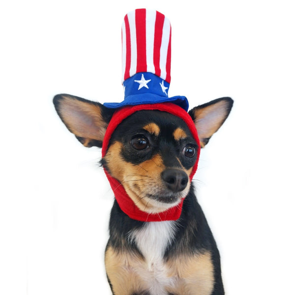 Uncle Sam Hat for Dogs